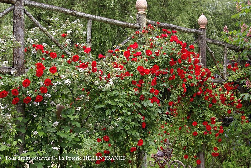 structure au jardin typ medieval avec rosier